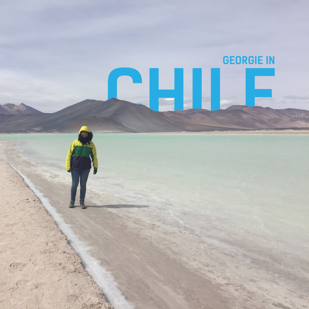 Georgie in Chile